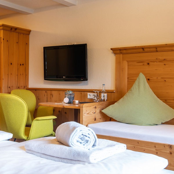 Einzelbett mit Sitzmöbeln und Fernseher im Zimmer