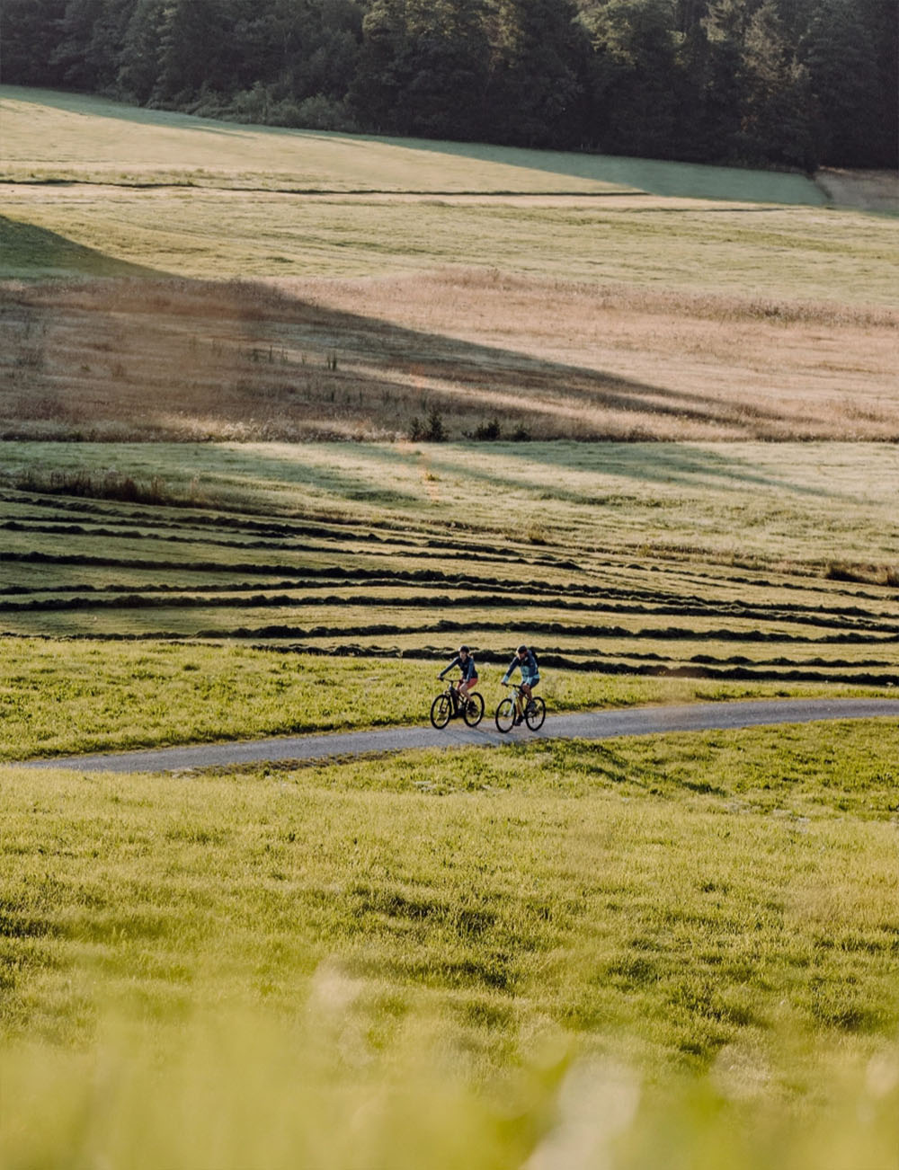 Radfahrer auf ruhiger Strecke durch die Natur im Allgäu