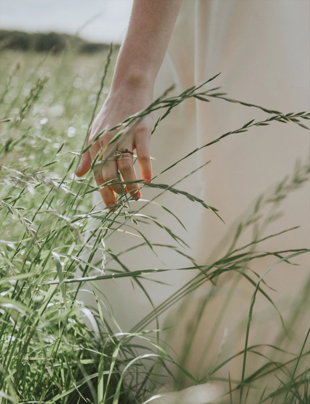 Hand streift durch Gras in sommerlicher Allgäuer Natur