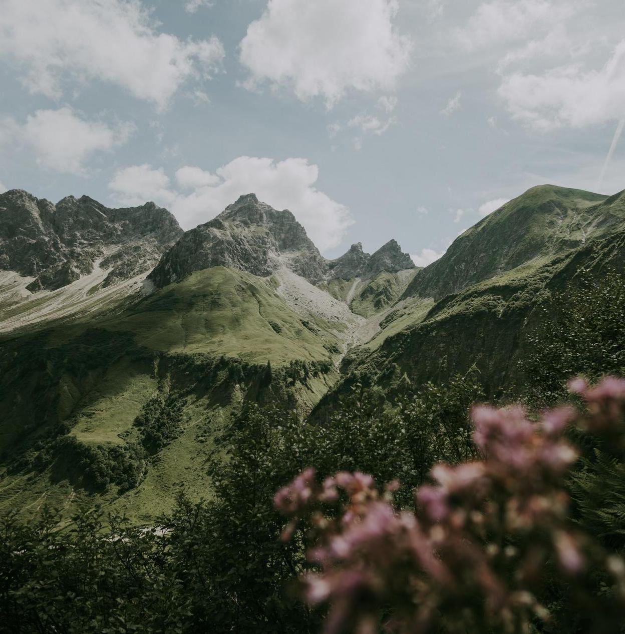 Allgaeu-Landschaft-Berge-KraftquelleFANNY-Wellnesshotel