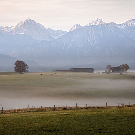 Allgäuer Landschaft mit Wiesen, Nebel und Alpenpanorama