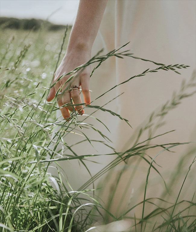Hand streift durch sommerliches Gras auf einer Wiese